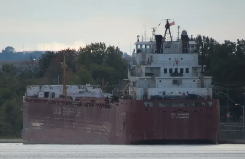 CSL NIAGARA Bulk Carrier IMO 7128423 photo 6