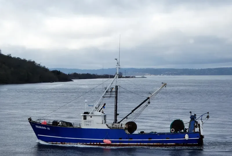 PAPADO II Fishing Vessel IMO 7128693 photo 2