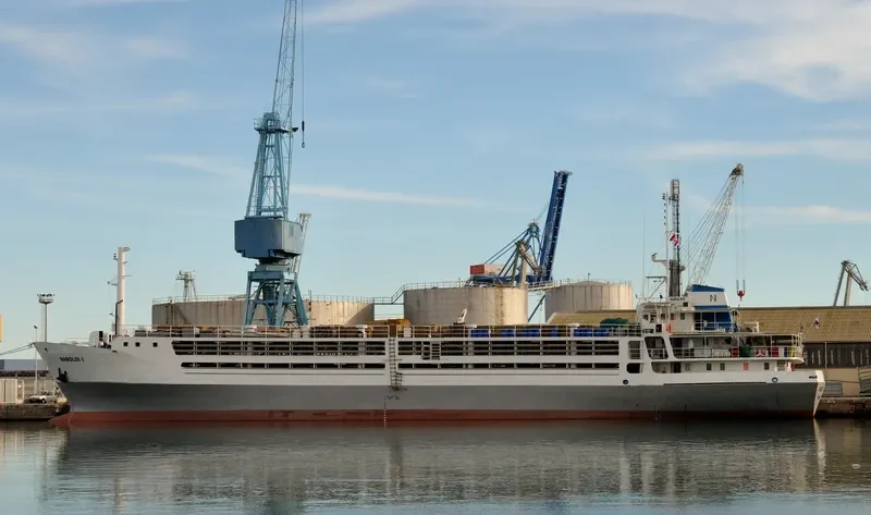 NABOLSI I General Cargo IMO 7128760 photo 8