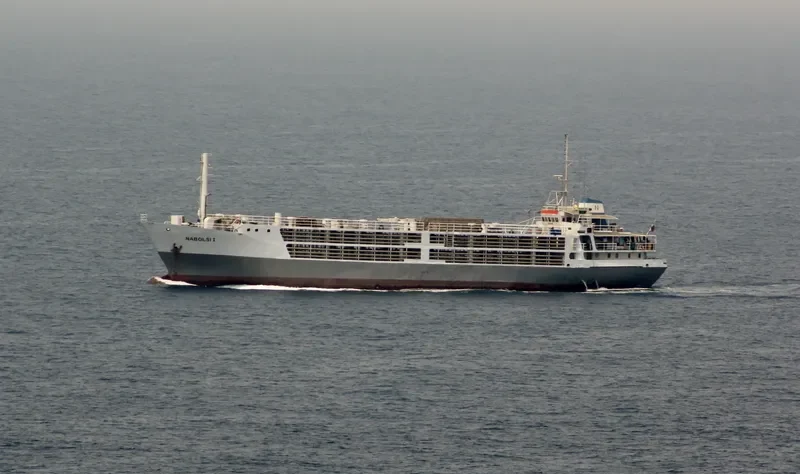 NABOLSI I General Cargo IMO 7128760 photo 9