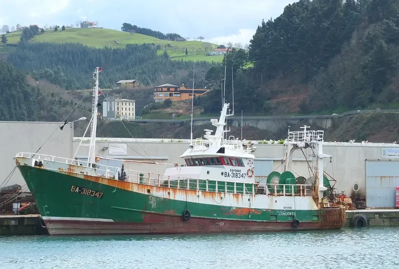 CONCERTO General Cargo IMO 7128813