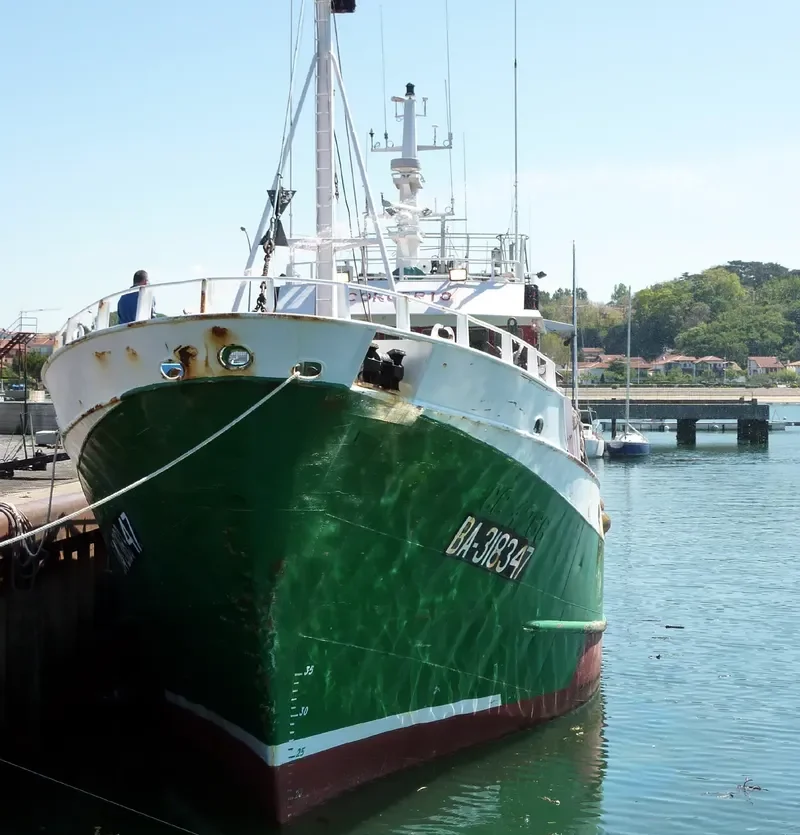 CONCERTO General Cargo IMO 7128813 photo 4