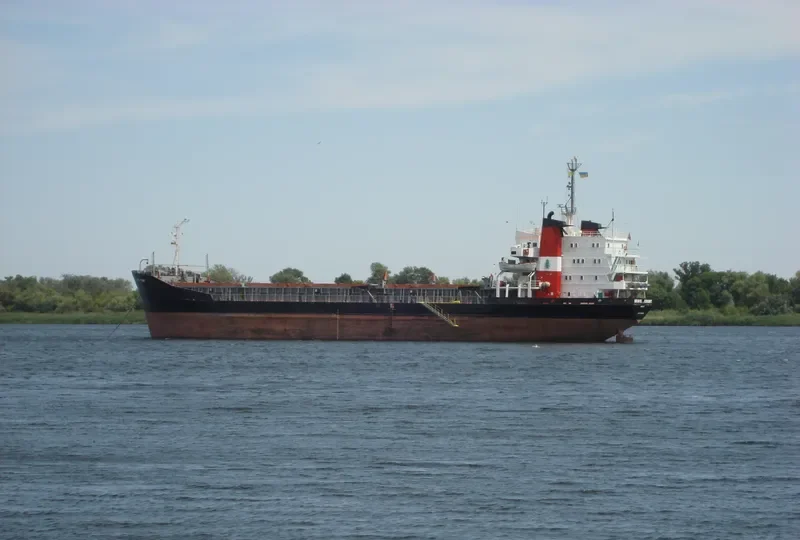 BRAVE KNIGHT Bulk Carrier IMO 7129336