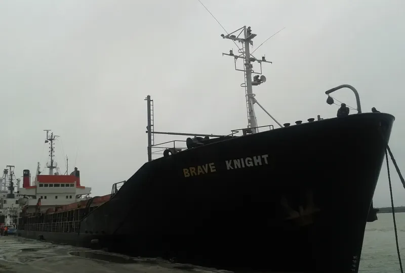 BRAVE KNIGHT Bulk Carrier IMO 7129336 photo 2