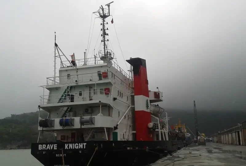 BRAVE KNIGHT Bulk Carrier IMO 7129336 photo 3