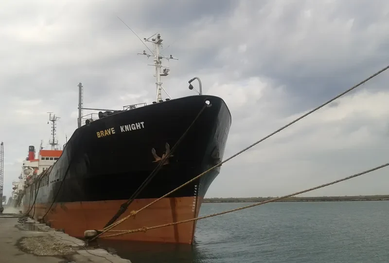 BRAVE KNIGHT Bulk Carrier IMO 7129336 photo 4