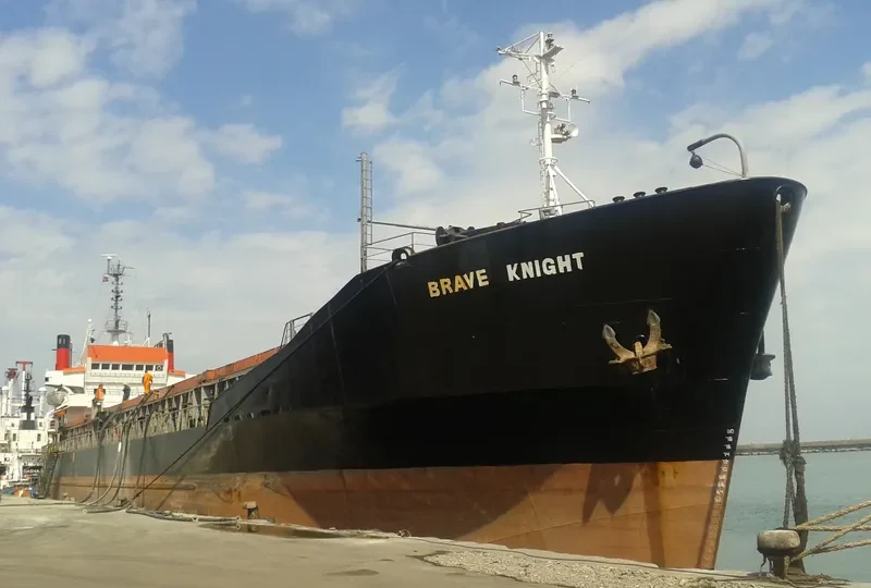 BRAVE KNIGHT Bulk Carrier IMO 7129336 photo 5