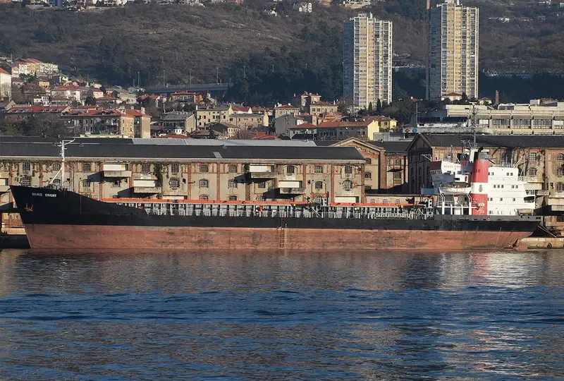 BRAVE KNIGHT Bulk Carrier IMO 7129336 photo 6