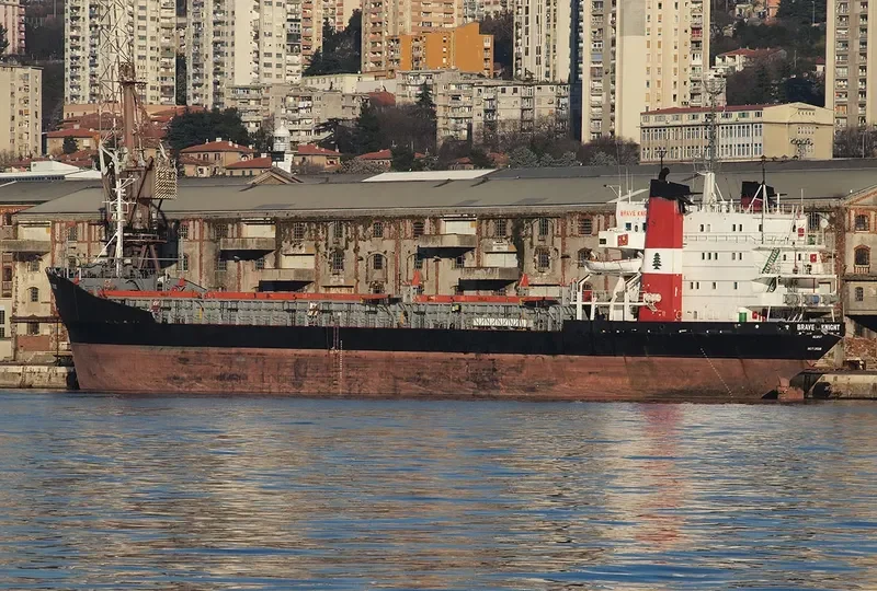 BRAVE KNIGHT Bulk Carrier IMO 7129336 photo 7