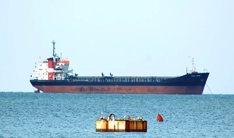 BRAVE KNIGHT Bulk Carrier IMO 7129336 photo 8