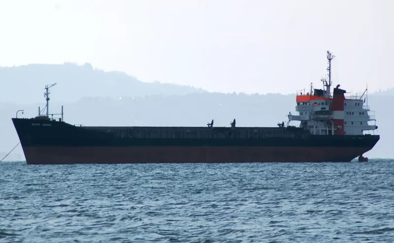 BRAVE KNIGHT Bulk Carrier IMO 7129336 photo 9