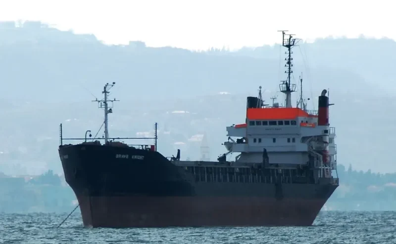 BRAVE KNIGHT Bulk Carrier IMO 7129336 photo 10