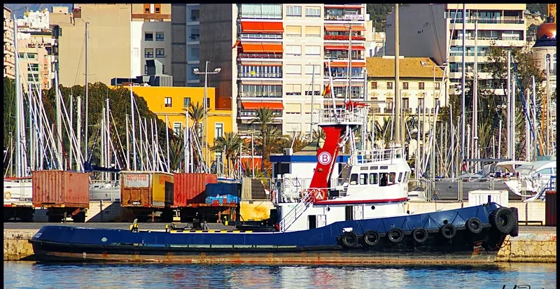 BOLUDA SEGUNDO General Cargo IMO 7129582 photo 4