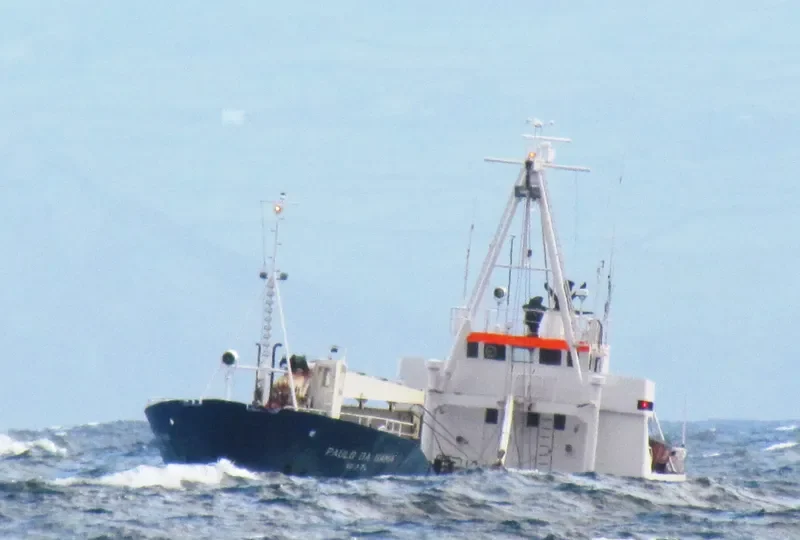 PAULO DA GAMA General Cargo IMO 7129661