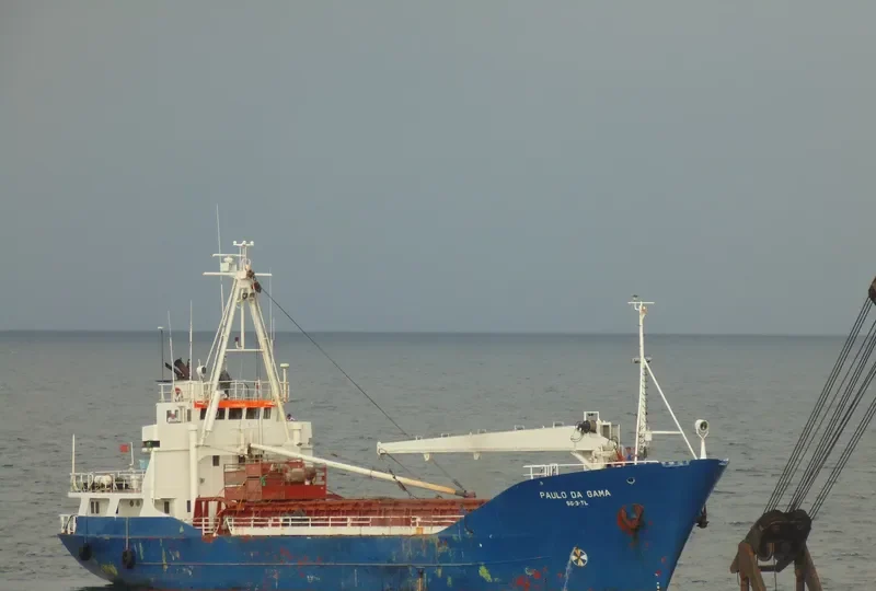 PAULO DA GAMA General Cargo IMO 7129661 photo 6