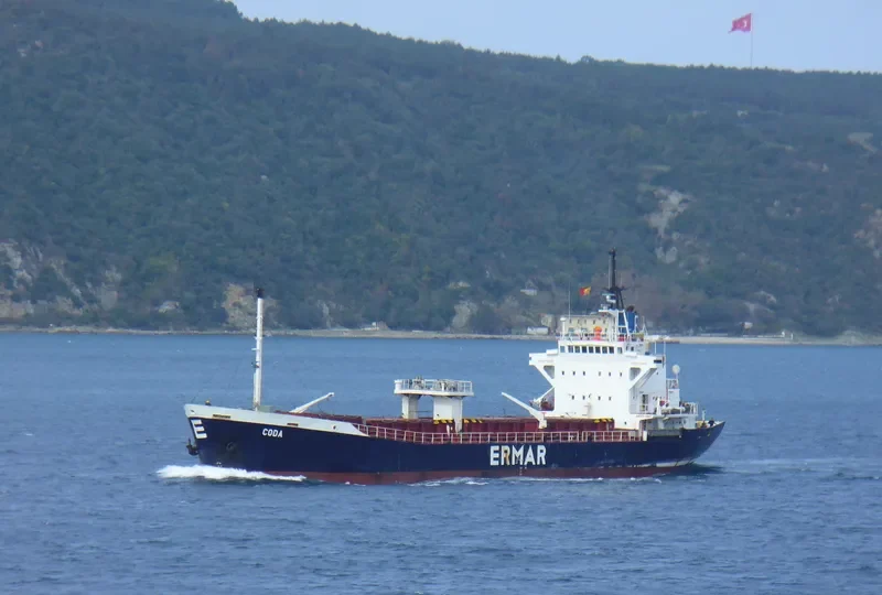 CODA General Cargo IMO 7129829 photo 2