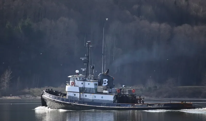 EDWARD BRUSCO Tug Boat IMO 7200051 photo 3