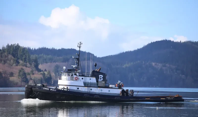 EDWARD BRUSCO Tug Boat IMO 7200051 photo 4