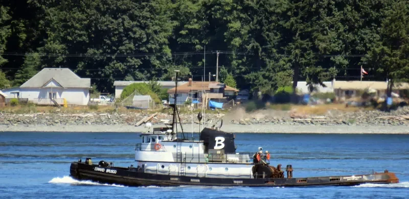 EDWARD BRUSCO Tug Boat IMO 7200051 photo 8