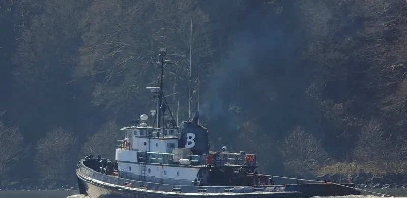 EDWARD BRUSCO Tug Boat IMO 7200051 photo 9