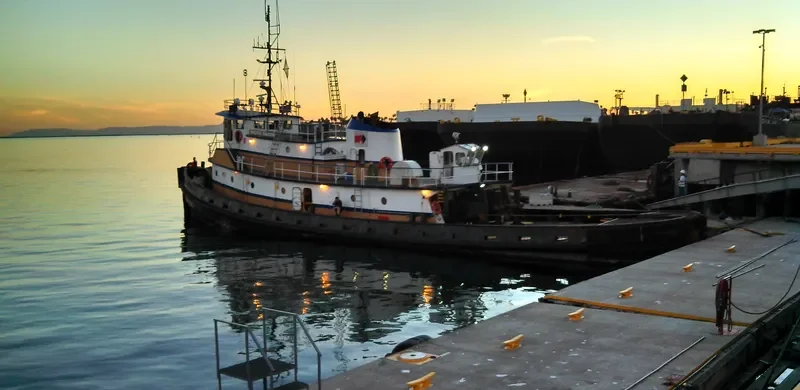 PACIFIC FALCON General Cargo IMO 7200128 photo 2