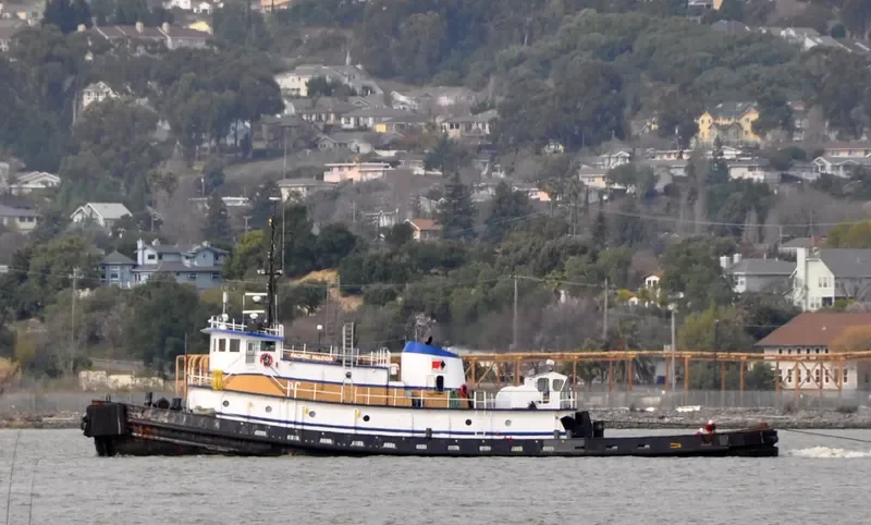PACIFIC FALCON General Cargo IMO 7200128 photo 3