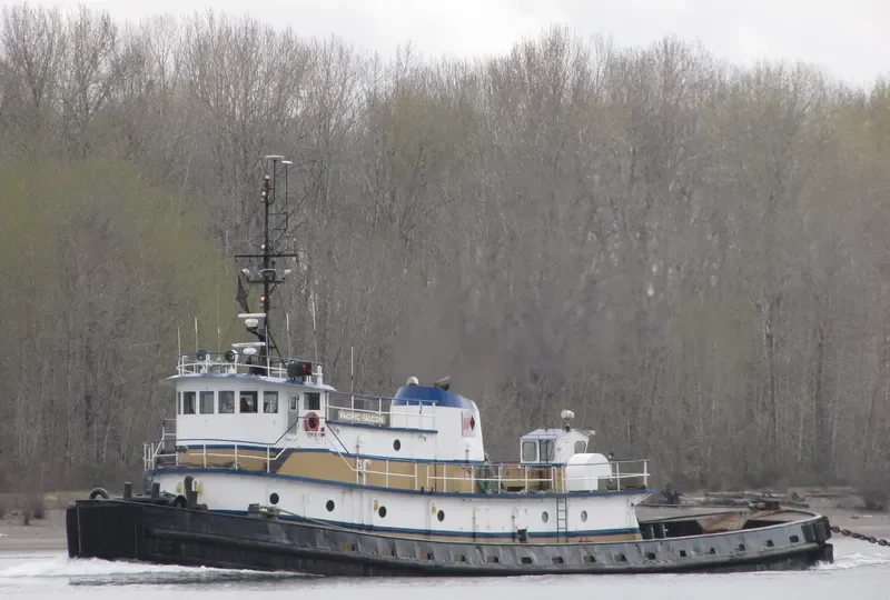 PACIFIC FALCON General Cargo IMO 7200128 photo 5