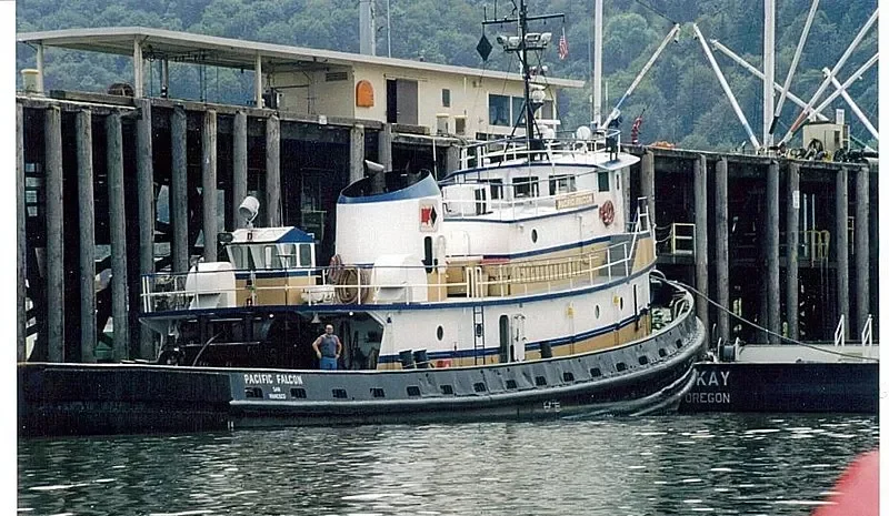 PACIFIC FALCON General Cargo IMO 7200128 photo 8