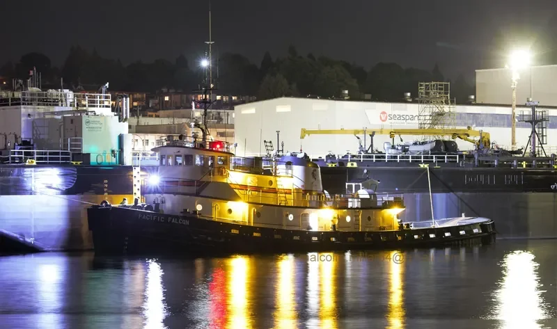 PACIFIC FALCON General Cargo IMO 7200128 photo 10