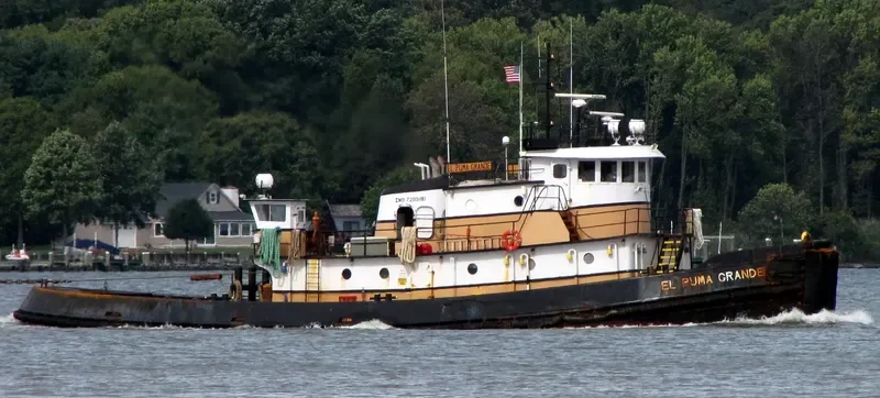 EL PUMA GRANDE Tug Boat IMO 7200180 photo 8
