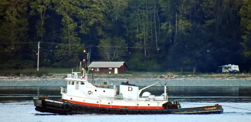 MANFRED NYSTROM General Cargo IMO 7200219 photo 4