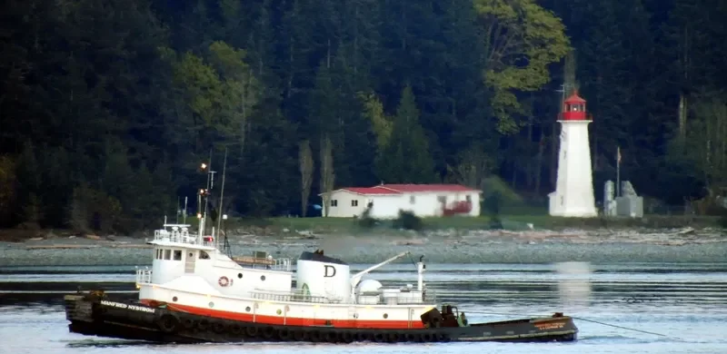 MANFRED NYSTROM General Cargo IMO 7200219 photo 5