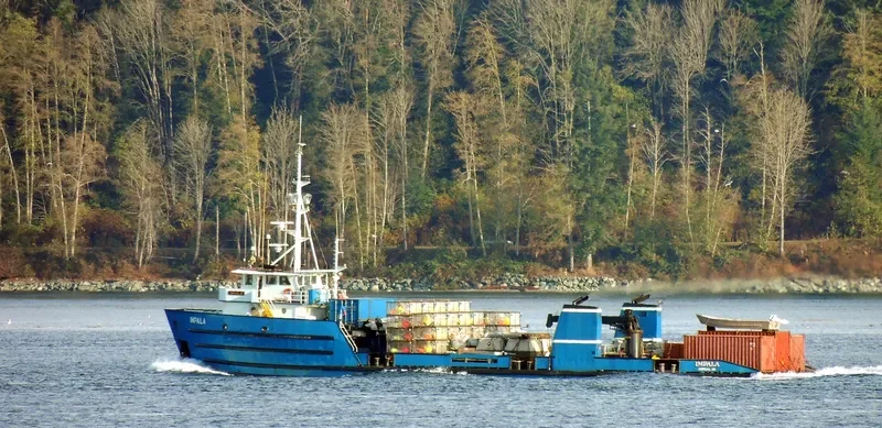 IMPALA Fishing Vessel IMO 7200594 photo 2
