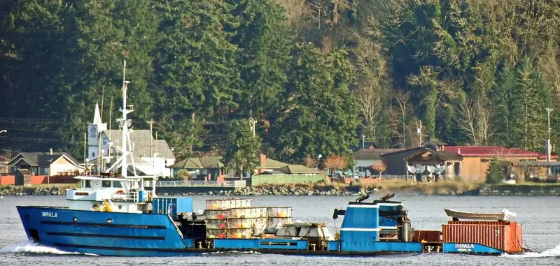 IMPALA Fishing Vessel IMO 7200594 photo 3