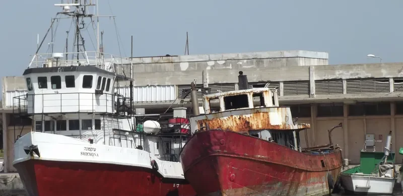 SHIQMONA Research Vessel IMO 7200697 photo 2