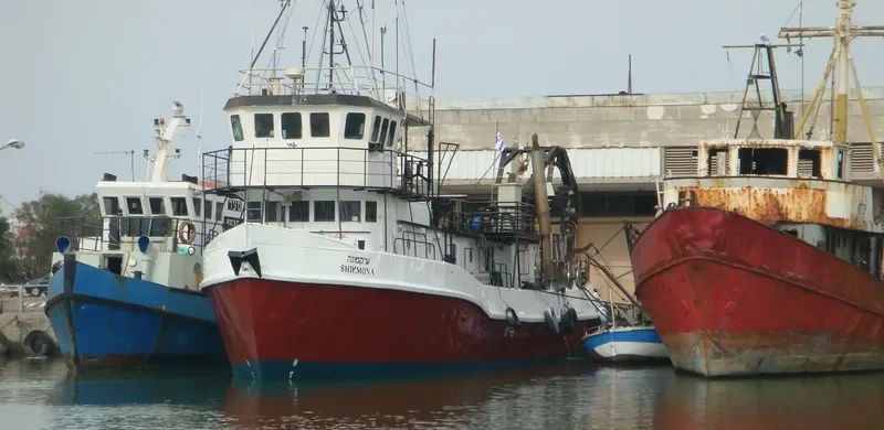 SHIQMONA Research Vessel IMO 7200697 photo 3