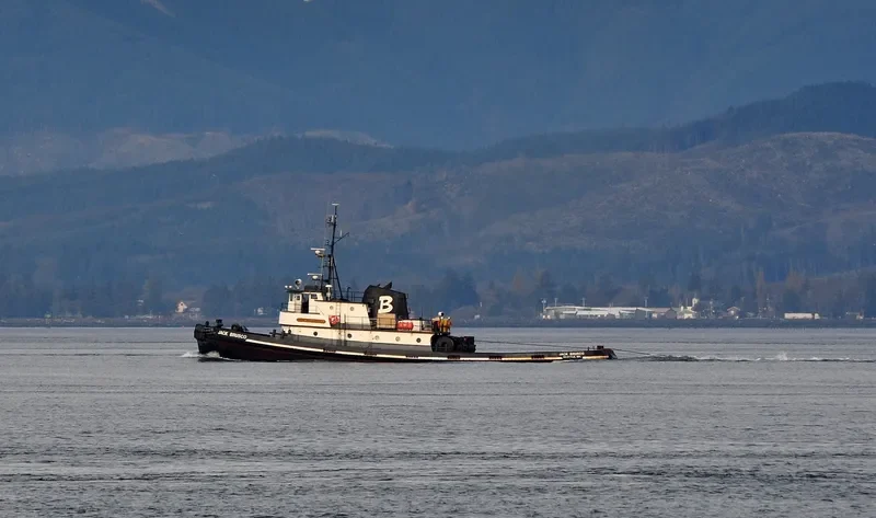 JACK BRUSCO Tug Boat IMO 7200867 photo 2