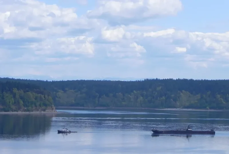 JACK BRUSCO Tug Boat IMO 7200867 photo 6