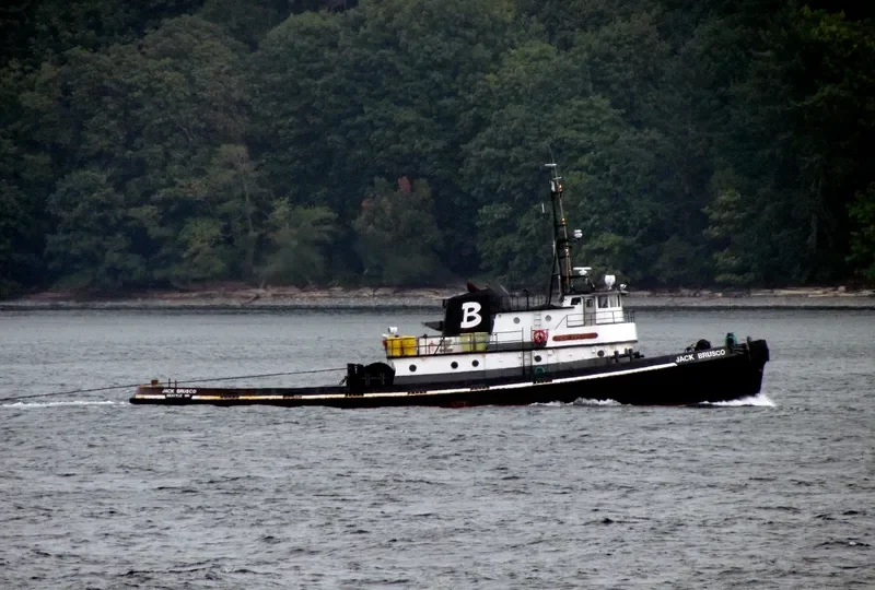 JACK BRUSCO Tug Boat IMO 7200867 photo 9