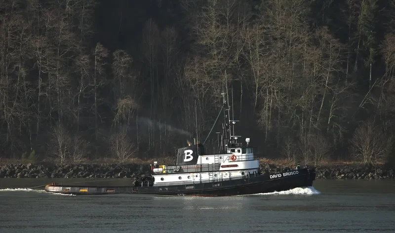 DAVID BRUSCO Tug Boat IMO 7200879 photo 4