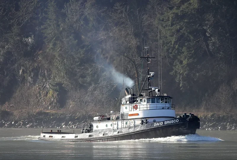 DAVID BRUSCO Tug Boat IMO 7200879 photo 5