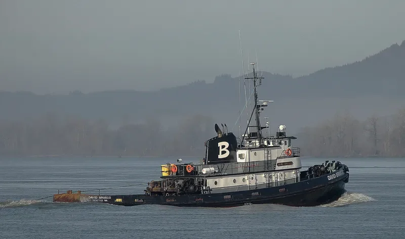 DAVID BRUSCO Tug Boat IMO 7200879 photo 6