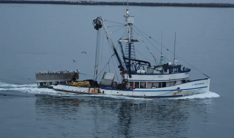 G.NAZZARENO Fishing Vessel IMO 7201469 photo 2