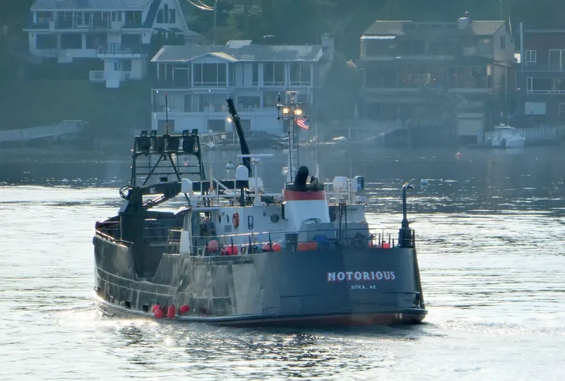 NOTORIOUS Fishing Vessel IMO 7202061