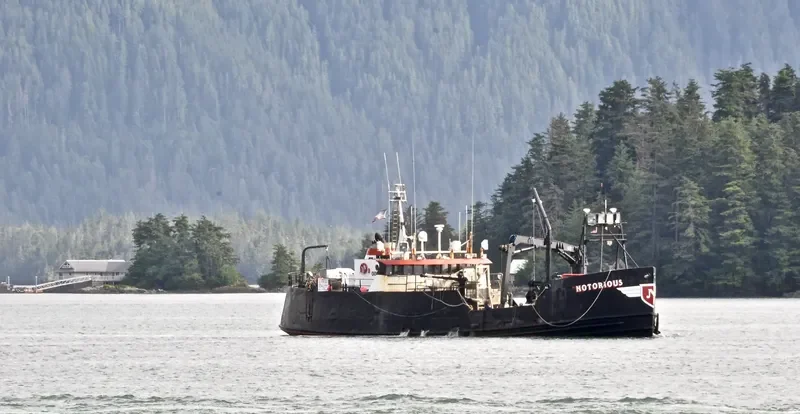 NOTORIOUS Fishing Vessel IMO 7202061 photo 3