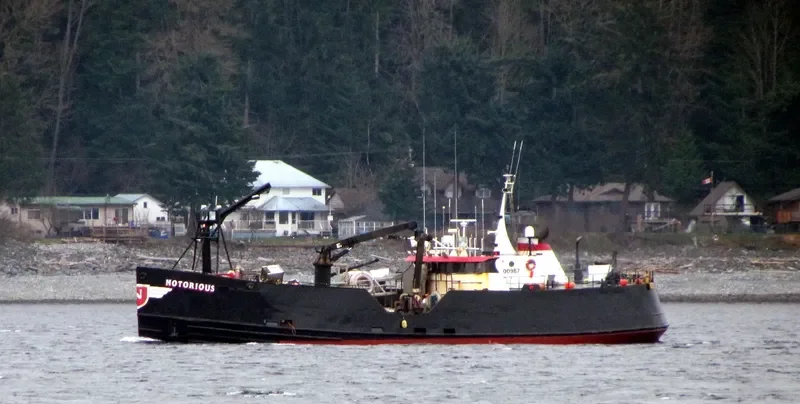 NOTORIOUS Fishing Vessel IMO 7202061 photo 4