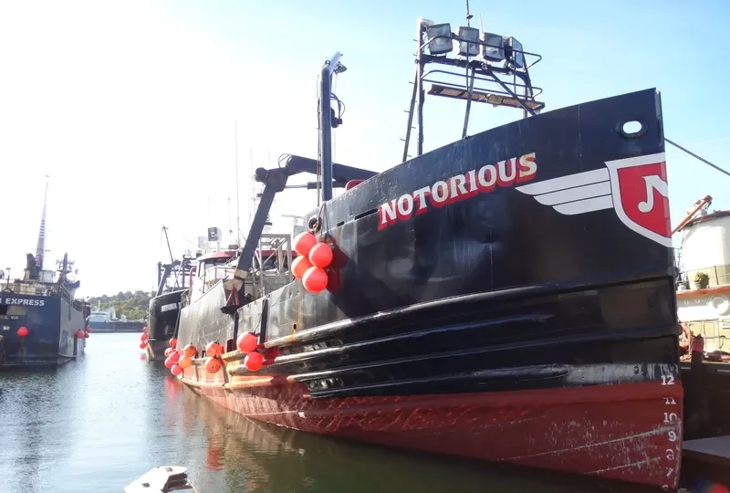NOTORIOUS Fishing Vessel IMO 7202061 photo 5