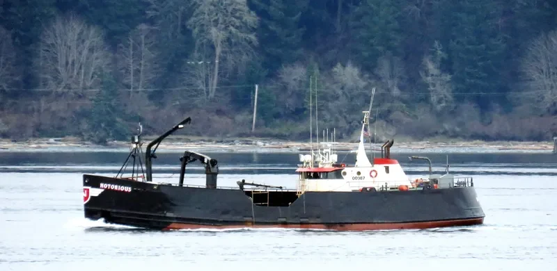 NOTORIOUS Fishing Vessel IMO 7202061 photo 7