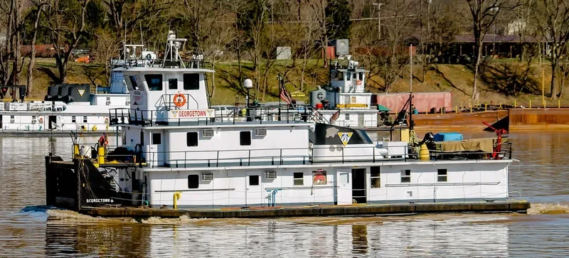 GEORGETOWN Tug Boat IMO 7202413 photo 9