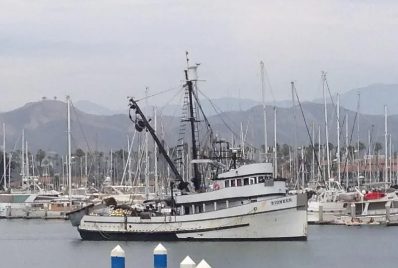 PIONEER Fishing Vessel IMO 7202918